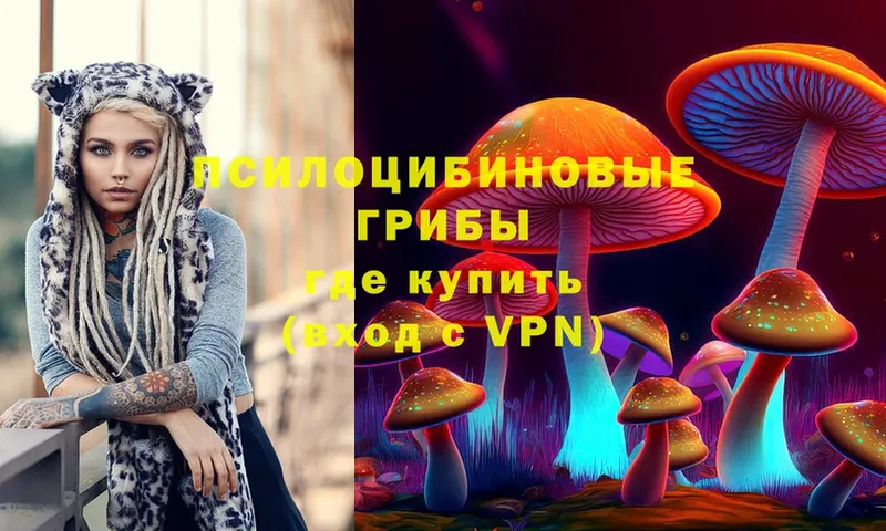 Псилоцибиновые грибы Psilocybine cubensis  shop Telegram  Кимовск 